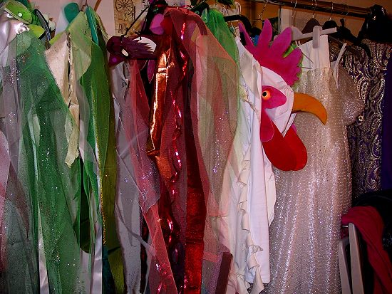 Panto Costumes by Nancy Farmer