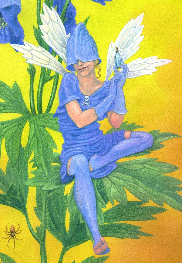 'Poison Flower Fairies: Aconitum Napellus, the Monkshood Fairy' - painting by Nancy Farmer