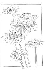 Daisy Boots - colouring-in drawing by Nancy Farmer