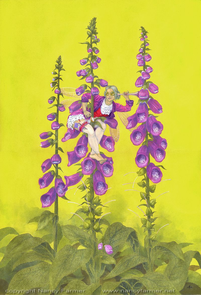 'Digitalis purpurea, the Foxglove Fairy' - painting in gouache by Nancy Farmer