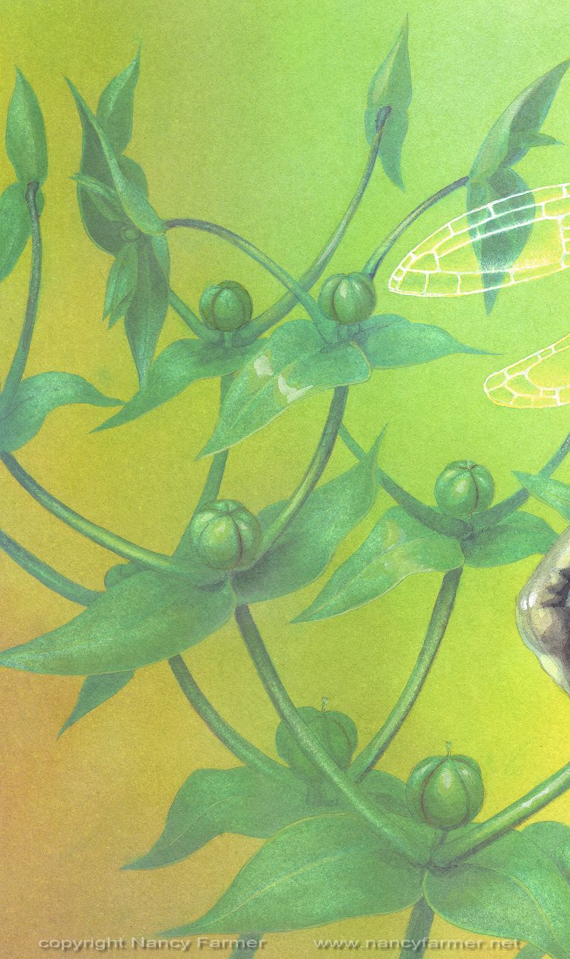 'Euphorbia Lathyris, Fairy of the Caper Spurge' - close-up 3 of painting