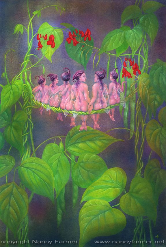 The Flower Fairies go to Seed: Runner Beans - painting by Nancy Farmer