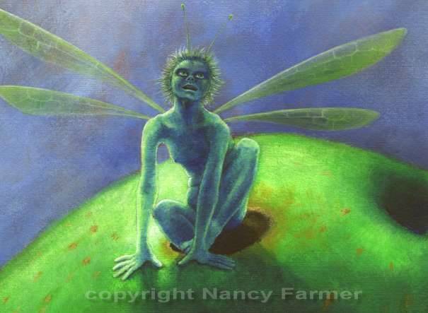 Fruit Fly