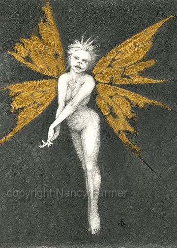Gold Fairy 1 - drawing by nancy Farmer