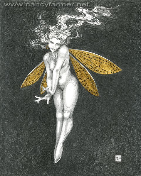 Gold Fairy 54
 - drawing by nancy Farmer