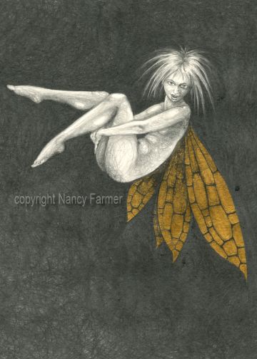 Gold Fairy 12 - drawing by nancy Farmer
