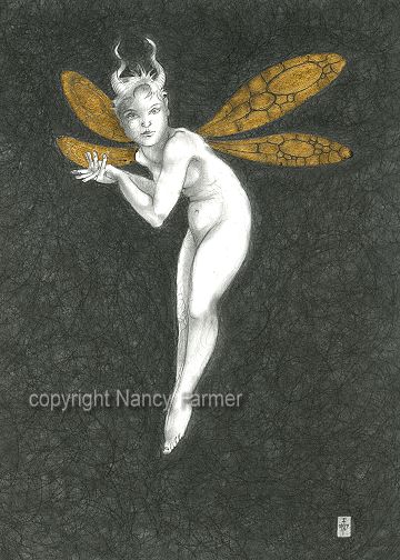 Gold Fairy 16 - drawing by nancy Farmer