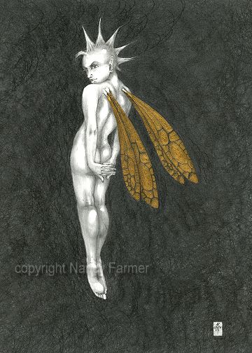 Gold Fairy 17 - drawing by nancy Farmer