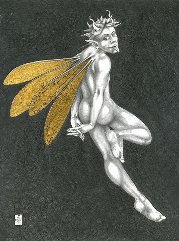 Gold Fairy 33 - drawing by nancy Farmer