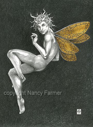 Gold Fairy 34 - drawing by nancy Farmer