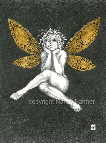 Gold Fairy 35 - drawing by nancy Farmer