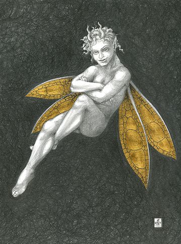 Gold Fairy 41 - drawing by nancy Farmer