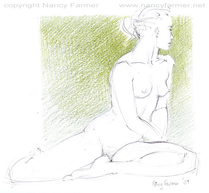 Life Drawing 2009-79 by Nancy Farmer