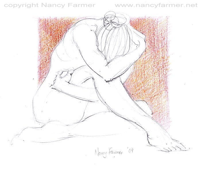 Life Drawing 2009-80 by Nancy Farmer