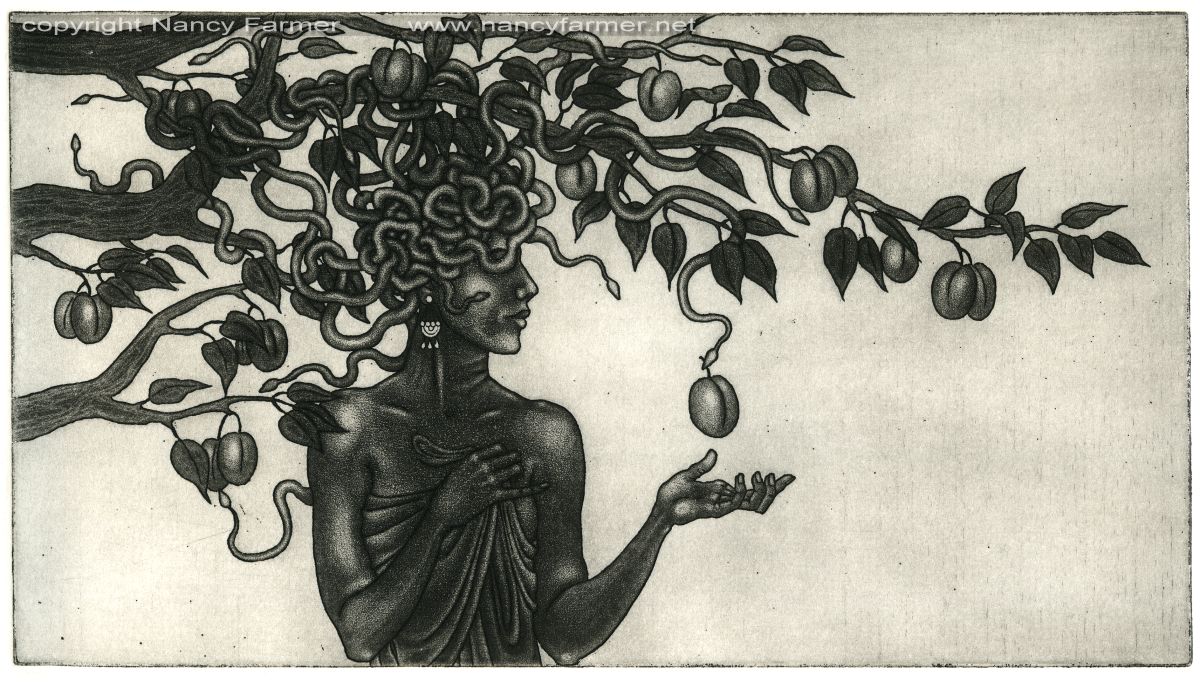 'Medusa in the Plum Tree' - Etching
