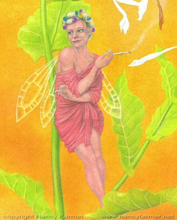 Painting: 'Nicotiana, the Tobacco Plant Fairy'