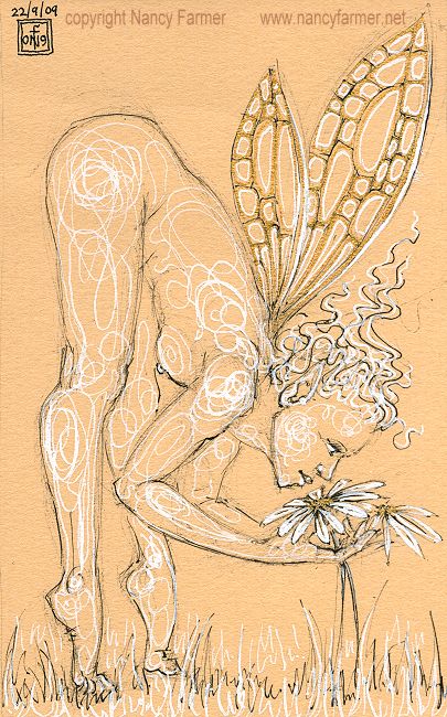 Permanent Sketch 66: Smelling the Daisies - drawing by nancy Farmer