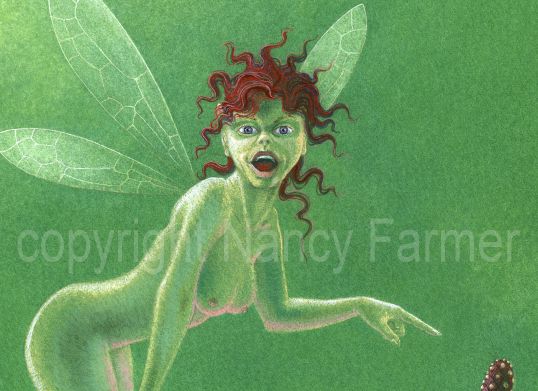 Pistils and Stamens 1 - rude flower fairies by Nancy Farmer