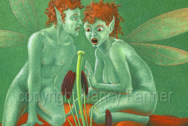 Pistils and Stamens 2 - rude flower fairies by Nancy Farmer