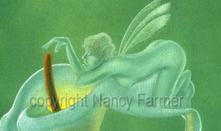 Pistils and Stamens 3 - rude flower fairies by Nancy Farmer