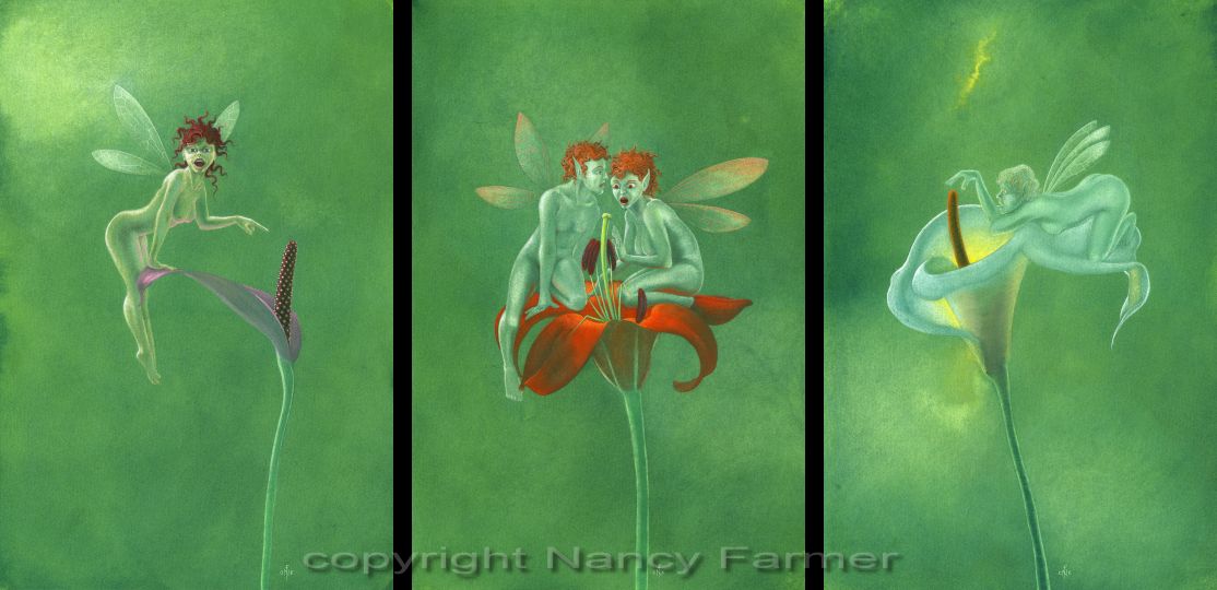 Pistils and Stamens - a triptych of rude flower fairies
