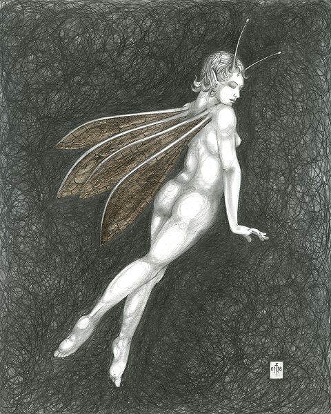 Platinum Fairy 2
- drawing by nancy Farmer