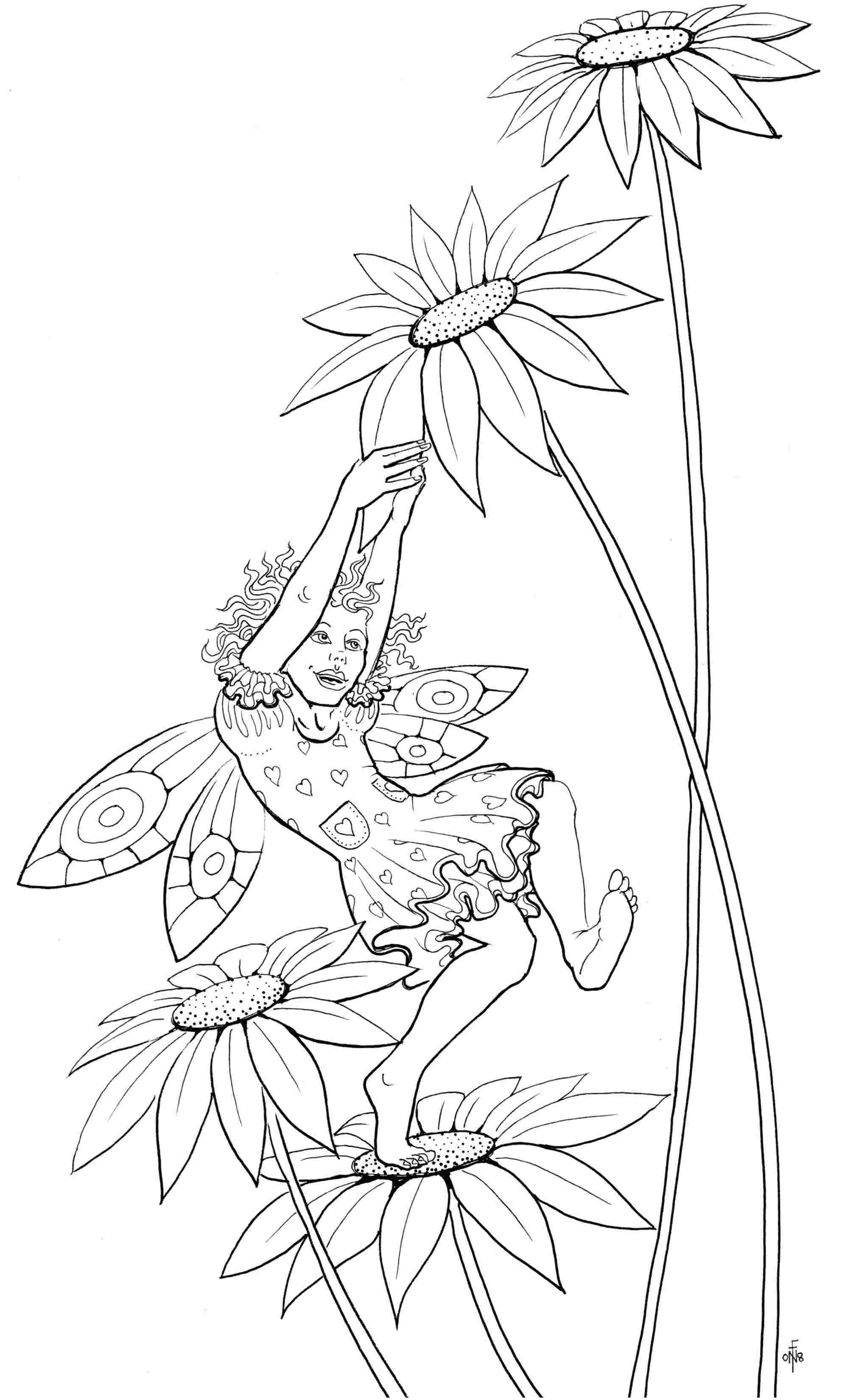 Pulling Daisies - colouring-in drawing - to download, right click and save, print out and colour in!