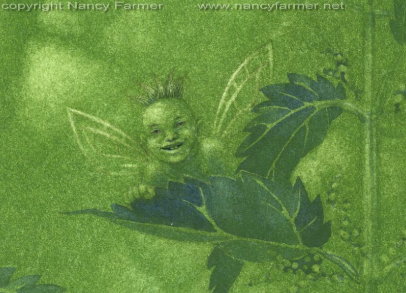 'Urtica Dioica, Stinging Nettle Fairies' - painting in gouache by Nancy Farmer