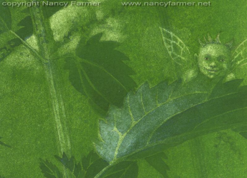 'Urtica Dioica, Stinging Nettle Fairies' - painting in gouache by Nancy Farmer