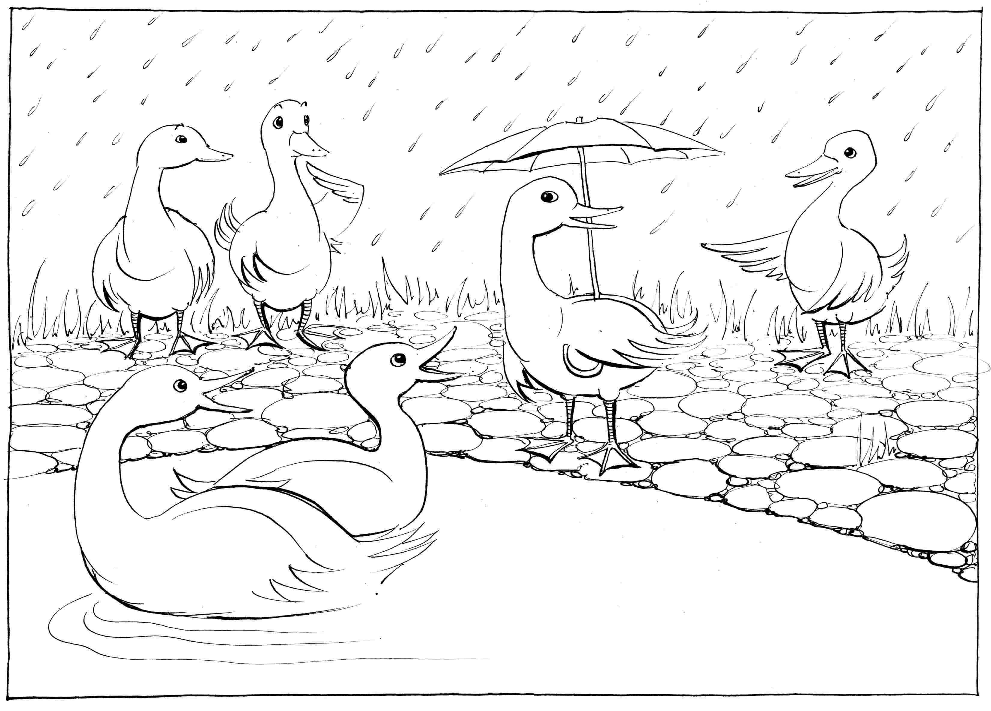 Water-Shy - colouring-in drawing - to download, right click and save, print out and colour in!