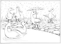 Water-Shy - colouring-in drawing by Nancy Farmer