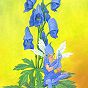 Aconitum Napellus, or the Monkshood Fairy