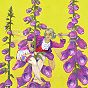 thumbnail of Digitalis Purpurea, the Foxglove Fairy