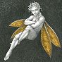 thumbnail of Gold Fairy 41