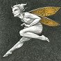 thumbnail of 
	Gold Fairy 38