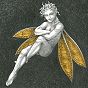 thumbnail of 
	Gold Fairy 41