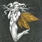 thumbnail of 
	Gold Fairy 45