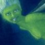 thumbnail of 
Little Green Fairy