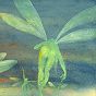 thumbnail of 
Mayflies