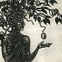 thumbnail of Medusa in the Plum Tree