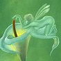 Pistils and Stamens 3