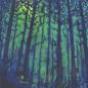 Three Monsters in a Forest