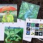 Calendars by Nancy Farmer
