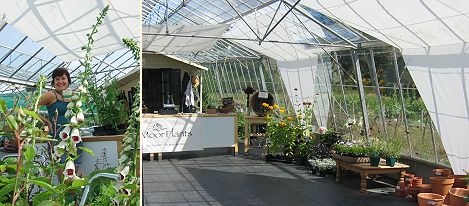 Moor Plants greenhouse and a happy customer