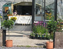 Moor Plants shop