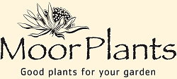Moor Plants logo